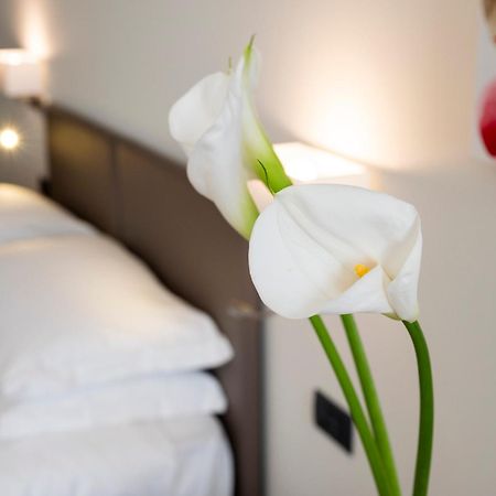 Hotel Plaza San Martino Siccomario エクステリア 写真
