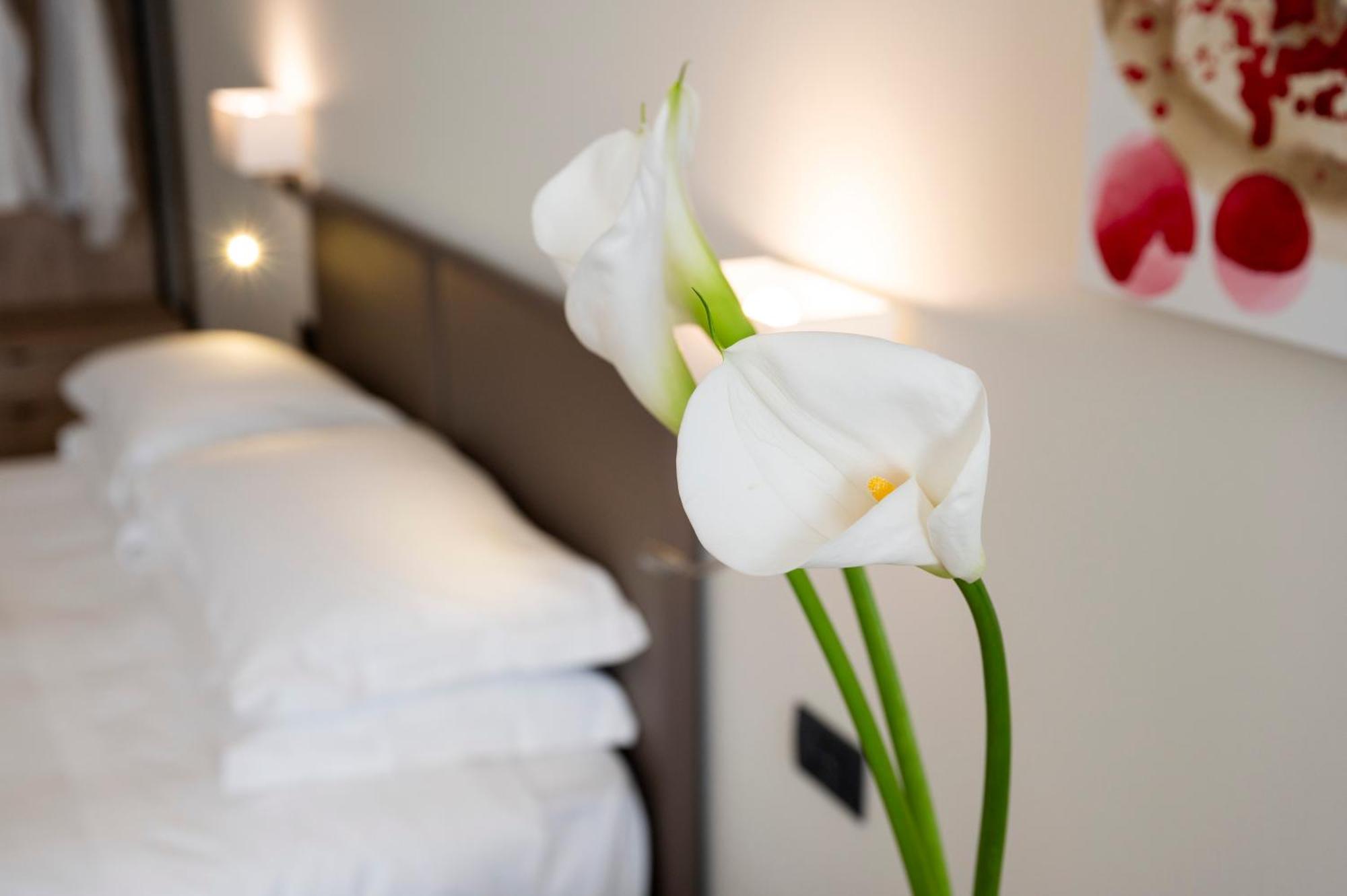 Hotel Plaza San Martino Siccomario エクステリア 写真